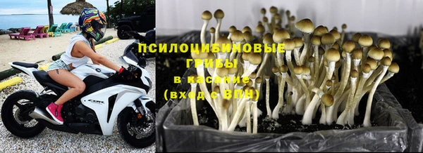 дживик Абдулино