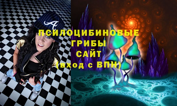 бошки Абаза