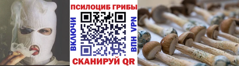 Галлюциногенные грибы мухоморы Нахабино
